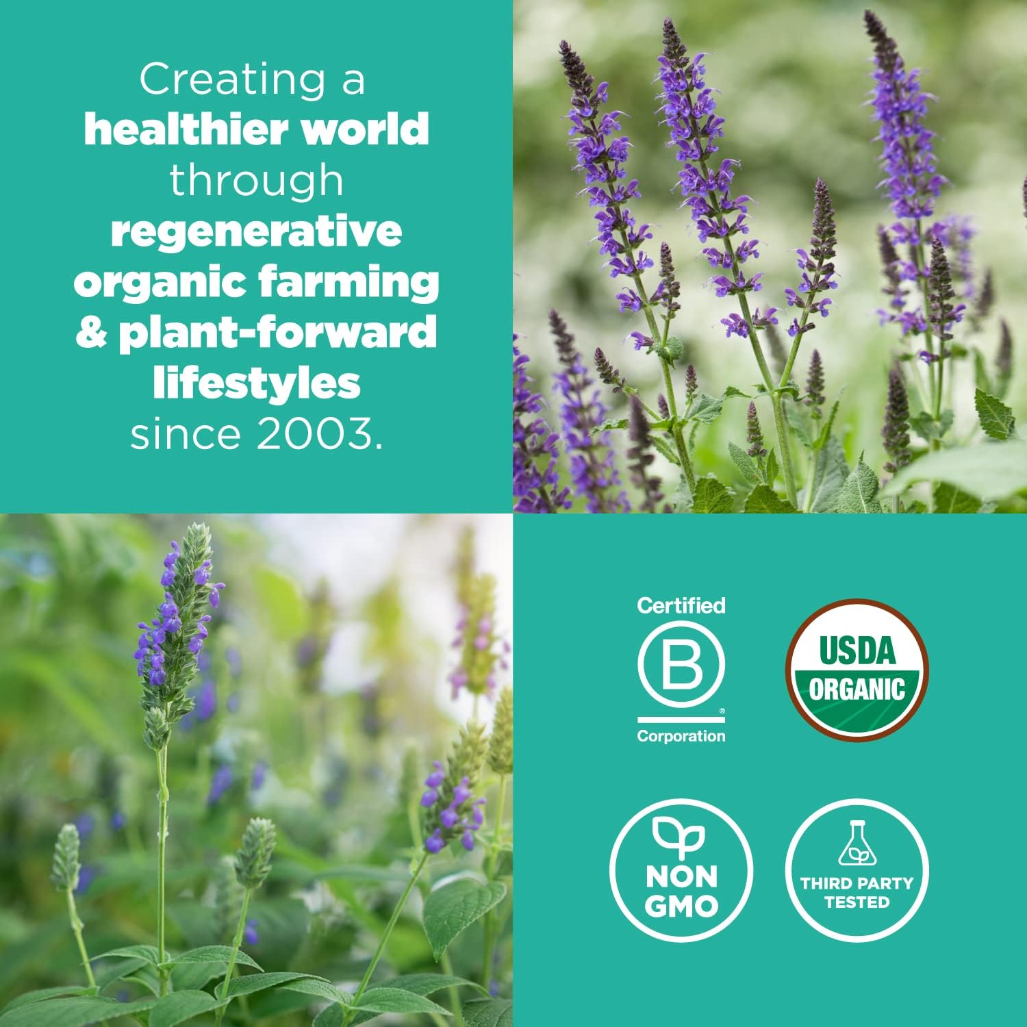 Organic Chia Seeds - Image 3